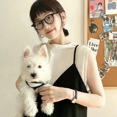 寻找老夫子